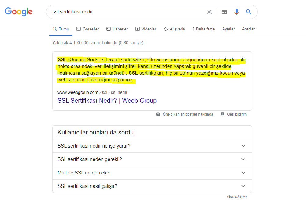 Google Snippet Nedir ?